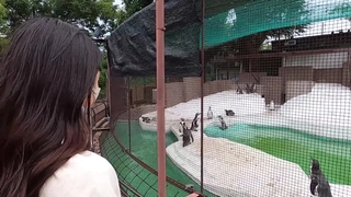 老年夫妇在这个热门视频中探索他们的禁忌欲望