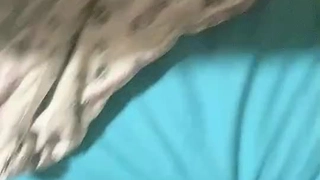 二零二三七月十号_水蜜桃桃桃