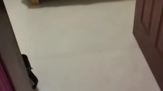 【三级】《血型o西瓜女仆》