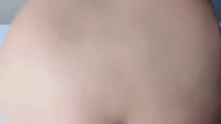 奶爸的文艺人生身高176